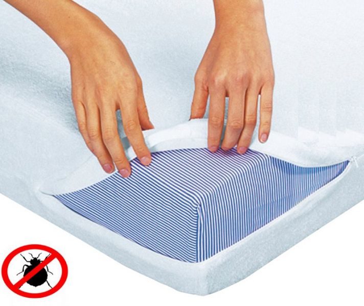 Comment choisir une housse anti-punaises de lit ?